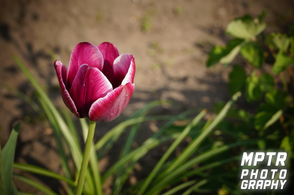 ULTIMATE FANSHOP - BMW Clothes